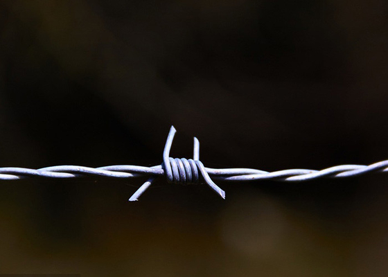 Utilizzo delle pareti della prigione doppio filamento tradizionale torsione spirale di filo elettrico spinato