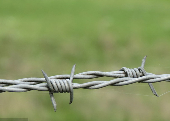 Utilizzo delle pareti della prigione Anticlimb Double Strand Reverse Twist Barbed Wire