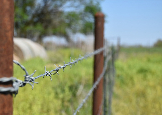 Utilizzo delle pareti della prigione Anticlimb Double Strand Reverse Twist Barbed Wire