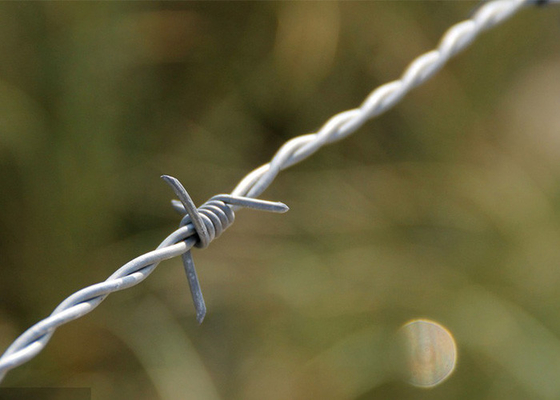 Utilizzo delle pareti della prigione anti-arrampicata galvanizzata a filo spinato