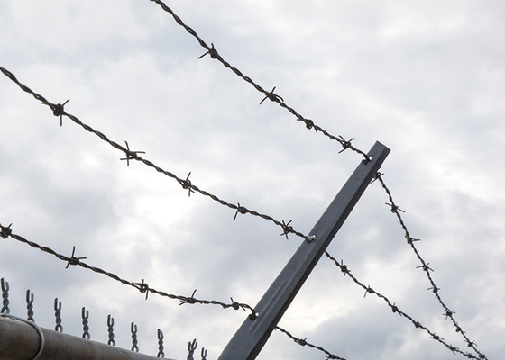 Utilizzo delle pareti carcerarie filo unico di filo di filo spinato in acciaio inossidabile prezzo per rotolo