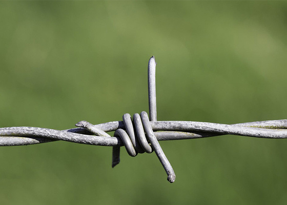 Utilizzo delle pareti carcerarie doppio filo tradizionale di fili spinati di filo spinato galvanizzato