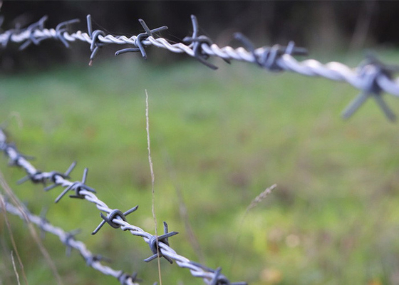 Utilizzo delle pareti carcerarie filo doppio inverso torsione filo spinato in acciaio inossidabile