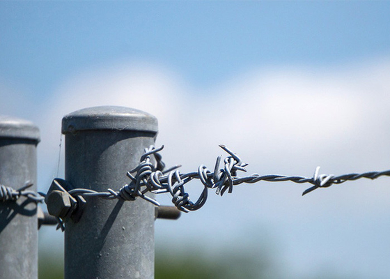 Utilizzo delle pareti della prigione Lunghezza 200m Single Strand Hot Dip Galvanized Barbed Wire