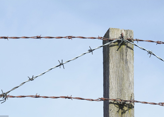 Recinzione di filo spinato di acciaio galvanizzato antirrubo
