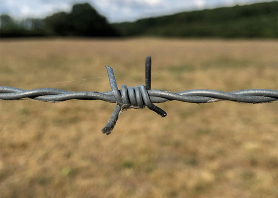 Corde di filo spinato galvanizzato a caldo