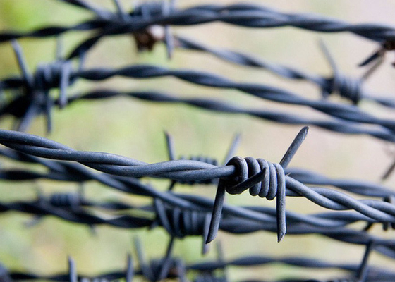 Giardino Anti-furto Lunghezza 200m Acciaio inossidabile filo spinato Prezzo per rotolo
