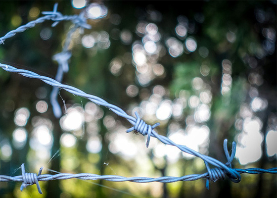 Corde di filo spinato galvanizzato a doppio filo anti-furto
