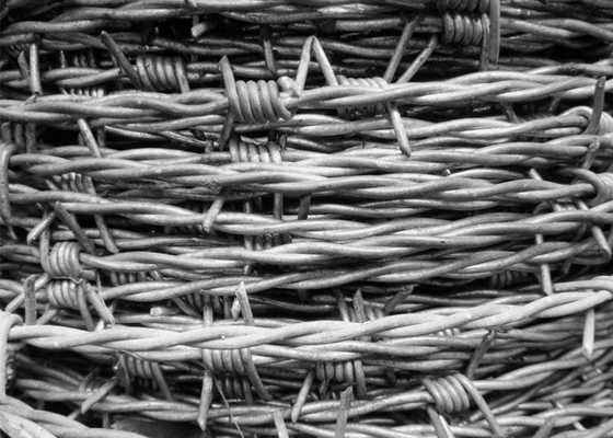 Antifurto giardino 12,5 calibro doppio torto galvanizzato filo spinato