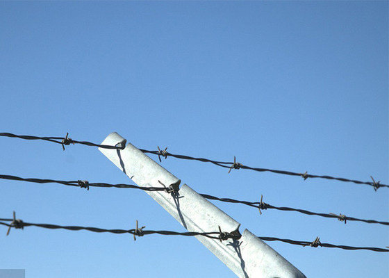 Protezione delle aziende agricole Fence di ferro spinato di acciaio galvanizzato a filo singolo