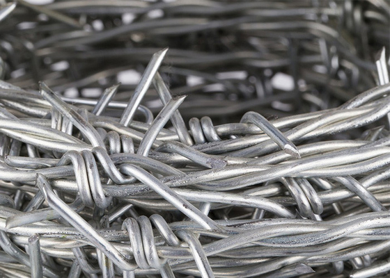 Filato spinato inverso a doppio filo di ferro rivestito in PVC per una maggiore sicurezza