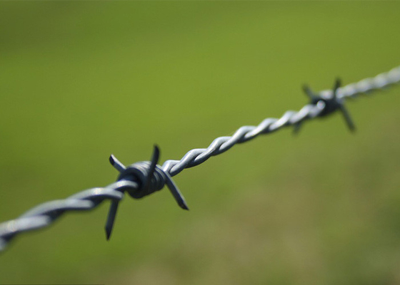Protezione delle aziende agricole Anticlimb Double Strand Reverse Twist Barbed Wire