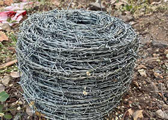 Protezione delle aziende agricole Filaio spinato inverso a doppio filo in acciaio inossidabile