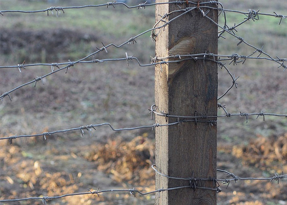 Protezione dell'azienda agricola 50 kg doppio filo tradizionale di filo spinato spinato