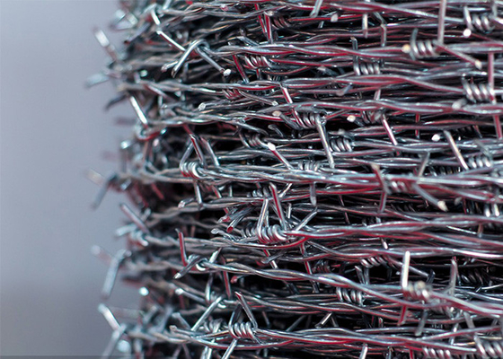14 gauge Double Strand Reverse Twist Spirale di filo spinato in acciaio inox
