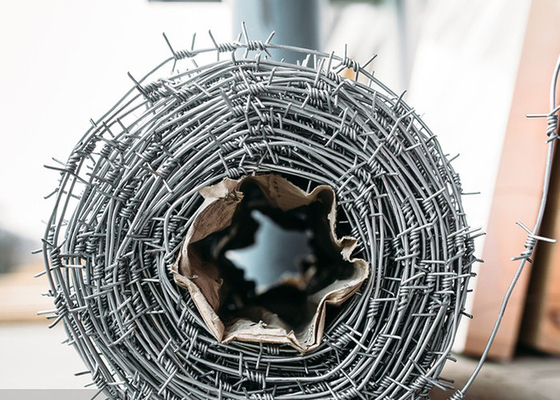 Protezione della costruzione di recinzioni a doppio filo di filo spinato tradizionale di filo spinato