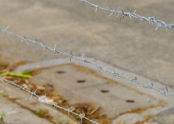 Resistenza alla ruggine bobine di filo spinato galvanizzato a caldo doppiamente contorte