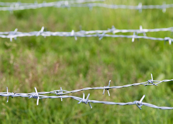 Resistenza alla ruggine 3 o 4 pollici Barb Distanza doppio filamento inverso torsione filo spinato