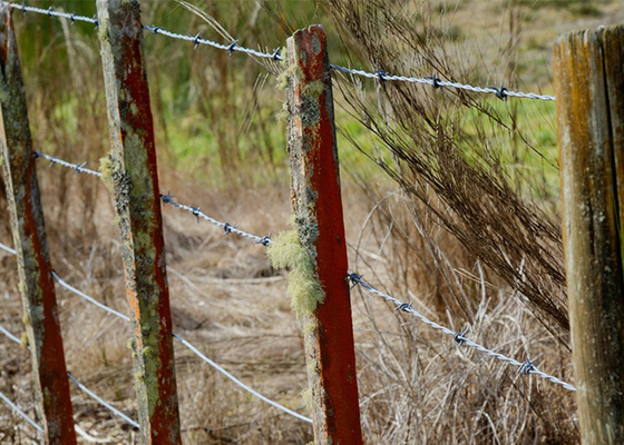 Conveniente e facile da mantenere per la sicurezza