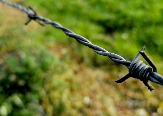 filo spinato di sicurezza elettro-galvanizzato per l'isolamento e la protezione