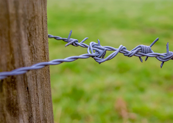 filo spinato di sicurezza elettro-galvanizzato per l'isolamento e la protezione
