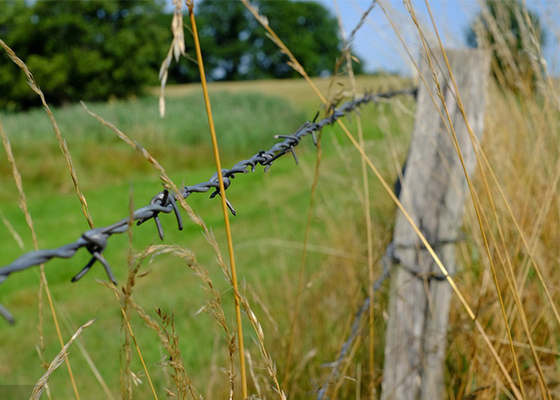Fence a filo spinato tradizionale a doppio filo