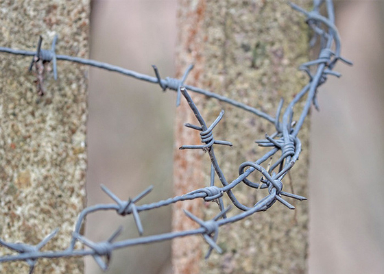 Resistenza alla ruggine bobine di filo spinato di PVC rivestito/galvanizzato a doppia torsione