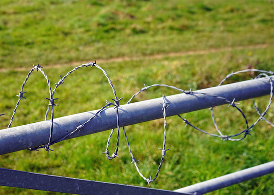 Resistenza alla ruggine Fence a filo singolo di acciaio galvanizzato a filo spinato Protezione delle costruzioni