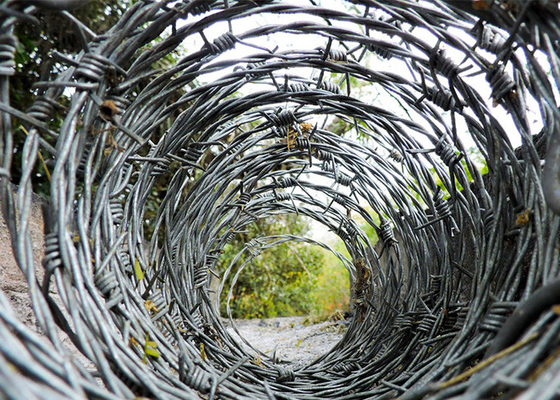 Resistenza alla ruggine 14gauge doppio filo spinato galvanizzato spinato