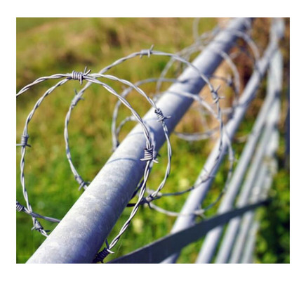 Cavo di filo spinato galvanizzato tradizionale 400M 500M 50Kg per rotolo di acciaio di 5 mm di diametro per recinzione e protezione