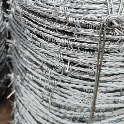Confinamento scolastico rete di filo spinato speciale prezzo economico sicurezza filo spinato