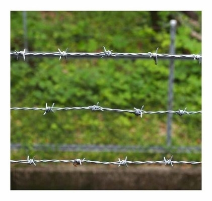 Confinamento scolastico rete di filo spinato speciale prezzo economico sicurezza filo spinato