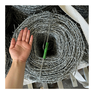 12#*14# filo spinato per recinzioni di sicurezza