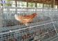 Le grandi gabbie del pollo del pollame, pollame mettono a strati la superficie galvanizzata progettazione della gabbia