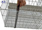 Gabbia galvanizzata di strato dell'azienda avicola per il sistema automatico del bevitore del Bangladesh