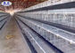 Sistema galvanizzato della gabbia in batteria della casa aperta del pollo di strato per l'azienda agricola di pollo