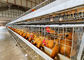 Gabbia in batteria di strato del pollo della fila dell'azienda agricola 4 della Tanzania, sistema della gabbia per polli