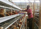 Gabbia in batteria di strato del pollo della fila dell'azienda agricola 4 della Tanzania, sistema della gabbia per polli