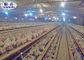 A / La H scrive la gabbia a macchina del pollo di strato con il sistema automatico per l'attrezzatura di avicoltura