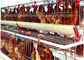 Il tipo pollo del pollame del sistema automatico 128 ingabbia l'attrezzatura dell'azienda agricola di strato dell'uovo