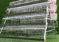 Capacità dei polli dell'azienda avicola della gabbia in batteria di nidiata di strato dell'uovo 96 per insieme