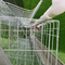 Gabbia d'acciaio del pollo di strato del filo zincato di 96 uccelli automatica nell'azienda avicola