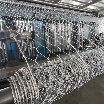 Il progetto su misura di tutela dell'acqua dei canestri 2x1x1 del gabbione zinca rivestito