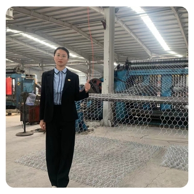 Filo zincato esagonale Mesh Gabion Basket 1x1x1 del materasso dello zinco