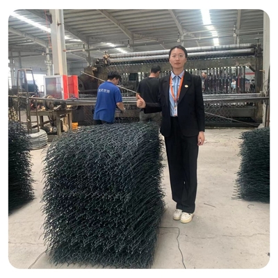 La pietra materiale galvanizzata immersa calda del gabbione ingabbia facile installa