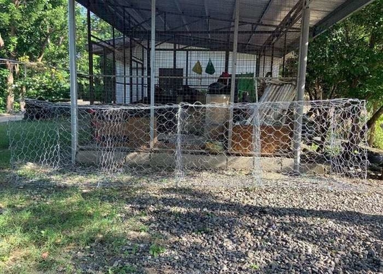 4x1x1m 3,05mm Wire Gabion Basket per costruzione di dighe e fondazioni con strutture metalliche cilindriche