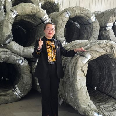 Egoza Concertina Wire Razor Razor Bisping Protection per siti critici