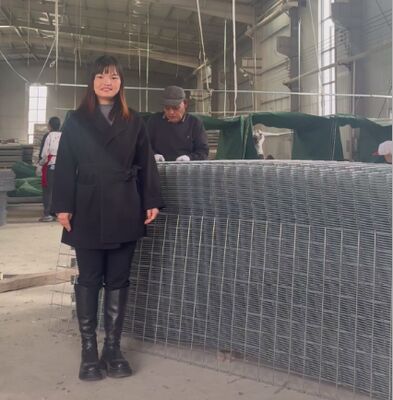 SX10 Barriere difensive HESCO con geotessile Barriere di gabion militari