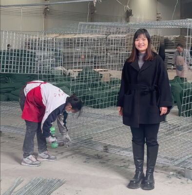 Mili 1 Barriera difensiva dell'esercito Protezione del muro Galvanizzata Rivestita con Geotectil