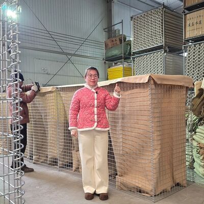 1 mil Barriera difensiva Barriera Hesco Galvanizzata Griglia saldata Prefabbricata Controllo delle inondazioni Fortificazioni militari Facile assemblaggio